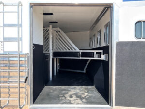 The inside of a Bloomer horse trailer with open dividers, padded walls, and windows along the right side. Sunlight casts shadows on the black floor, which has visible dust and dirt marks. -Stillwater Trailer Sales