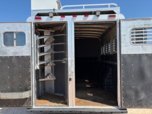 The back of an open horse trailer shows a divided interior with saddle racks on the left and empty cargo space on the right; perfect for horse and livestock trailer sales, this metal trailer features barred windows and an open roof hatch. -Stillwater Trailer Sales