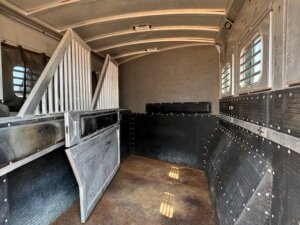 Interior of an empty horse trailer with metal dividers, padded walls, a brown floor, and barred windows on the right side letting in sunlight—perfect for those seeking new and used trailers or custom show trailers through horse and livestock trailer sales. -Stillwater Trailer Sales