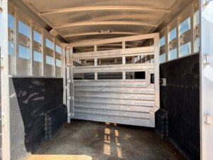 Interior view of an empty Elite 26 Stock Combo livestock trailer with metal gates, partitions, black lower wall paneling, and sunlight streaming through the side windows. -Stillwater Trailer Sales