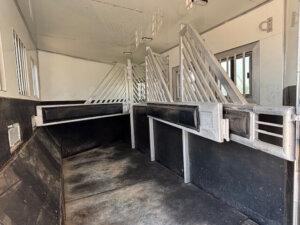 The image shows the interior of a clean, empty horse trailer with two angled metal dividers and black padded walls, designed for safely transporting horses. There are windows on the right side and a concrete floor. -Stillwater Trailer Sales
