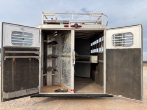 The image shows the rear view of an open C&C horse trailer with two doors. Inside, saddle racks are on the left and a partitioned area is to the right, with natural light streaming through barred windows. -Stillwater Trailer Sales
