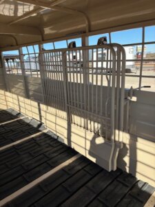 Sunlit interior of a livestock trailer featuring metal slatted gates and rubberized flooring; shadows from the bars create a grid pattern on the floor. Outdoor signs and fencing are visible through the side windows. -Stillwater Trailer Sales