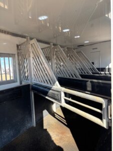 Inside view of a 2019 Bloomer horse trailer featuring empty, partitioned stalls with metal dividers, black padded sides, and sunlight streaming in through small windows on the left. This spacious 5 horse trailer offers secure transport. -Stillwater Trailer Sales