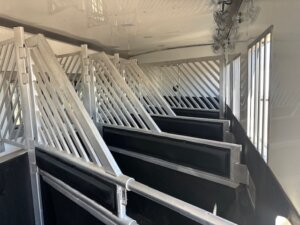 Interior of a livestock trailer showing multiple metal stalls separated by slatted partitions, designed to safely transport animals. The trailer is clean and well-lit, with black padding along the partitions. -Stillwater Trailer Sales