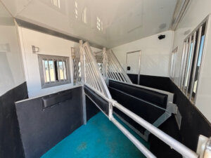 Interior of a horse trailer with padded dividers, metal bars, and a blue floor, designed to safely separate and transport multiple horses. Light enters through windows with metal grilles. -Stillwater Trailer Sales