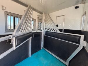 Interior of a horse trailer with padded stalls, metal dividers, barred windows, and turquoise rubber flooring, designed for safely transporting horses. -Stillwater Trailer Sales