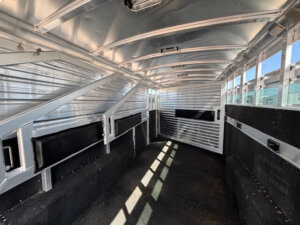 Interior of an empty, clean Elite 8 Horse Trailer with metal walls, a curved ceiling, and padded side panels. Sunlight streams through slatted windows, casting shadows on the floor. -Stillwater Trailer Sales