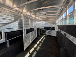 Interior of an empty Elite 8 Horse Trailer features open gates, padded dividers, rubber flooring, and windows along the right side letting in sunlight. -Stillwater Trailer Sales