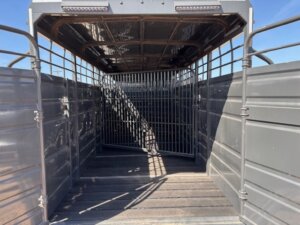 Open livestock trailer with metal gates, gray metal sides, and a wooden floor, viewed from the back with sunlight casting shadows inside. The sky is clear and blue in the background. -Stillwater Trailer Sales
