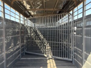 Interior view of an empty metal livestock trailer with a barred gate in the middle, wooden floorboards, and light coming in from the sides and roof openings. -Stillwater Trailer Sales