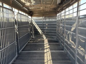 Inside view of an empty metal livestock trailer with a grated gate on the left, metal walls, and a wooden plank floor. Sunlight casts shadows through open slats and bars along the sides. -Stillwater Trailer Sales
