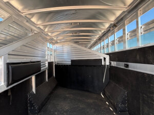 Interior of an empty Elite 10 Horse Trailer with metal walls, ribbed roof, and padded side panels. Sunlight streams through the slatted windows, while the floor appears to be covered in rubber matting. -Stillwater Trailer Sales