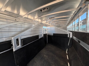 Interior of an empty Elite 10 Horse Trailer with metal walls, angled dividers, open windows on the right, and black padding along the lower walls. Sunlight is shining in through the windows. -Stillwater Trailer Sales