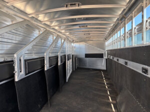 Interior of an empty Elite 10 Horse Trailer with metal dividers, rubber floor mats, and barred windows on one side, allowing natural light to enter. -Stillwater Trailer Sales