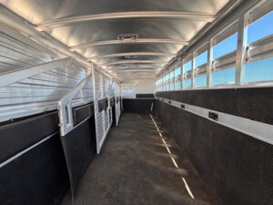 Interior of an empty Elite 10 Horse Trailer with metal dividers, grated windows on the right letting in sunlight, and a clean, dark floor. The spacious space features metal walls and ceiling, creating a bright and inviting atmosphere. -Stillwater Trailer Sales