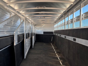 Interior of an empty Elite 10 Horse Trailer with metal walls, slatted windows on the sides, and black rubberized flooring and lower wall panels. Sunlight streams in through the upper ventilation slats. -Stillwater Trailer Sales