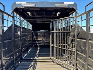 Inside view of an empty black Swift Built 20' livestock trailer with metal railings and a 3/4 top, open gate, textured floor, and sunlight streaming through the back. -Stillwater Trailer Sales