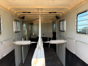 Interior of an empty Hawk 2+1 GN Horse Trailer with padded dividers and barred windows on both sides, showing a clean wooden floor and white walls under natural daylight. -Stillwater Trailer Sales