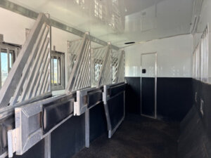 Interior of a Bloomer 5 Horse trailer with metal dividers and padded side panels, designed for safely transporting multiple horses. The clean Outlaw space features a black lower wall with a white upper wall and ceiling. -Stillwater Trailer Sales