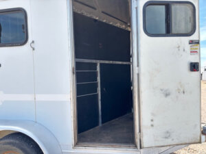 Open door of a white CM 2 Horse Trailer bumper pull, showing the interior space with black walls, metal bars, and a rubber floor, sunlight shining in from outside. -Stillwater Trailer Sales