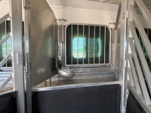 Interior of a Cimarron horse trailer with metal stalls, barred windows, and a built-in water bowl. Sunlight enters the organized living quarters, highlighting the clean space designed for safely transporting up to 6 horses. -Stillwater Trailer Sales