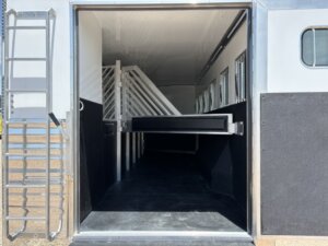 Open door view of a horse trailer with multiple stalls, padded dividers, black flooring, and windows on the right. A metal ladder is attached to the outside left of the trailer. -Stillwater Trailer Sales