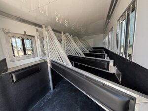 Interior of a horse trailer with padded stalls and metal dividers, designed to safely transport multiple horses. Sunlight streams through the windows, illuminating the clean and spacious compartment. -Stillwater Trailer Sales